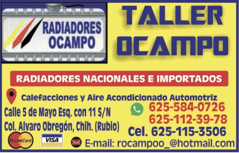 Imagen 05 12 25 a las 12.35 p.m 768x494